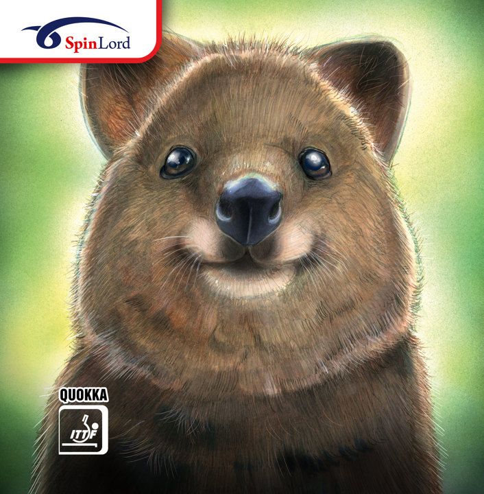 SpinLord Quokka II